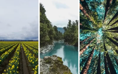 Le rangement, un geste éco-responsable ?