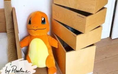 Le rangement ça s’apprend !